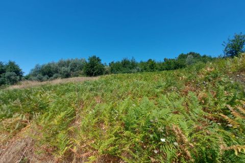 Helårsgrund i Arganil, Coimbra, Arganil - € 12.000 | Ref: 65797 - foto 6