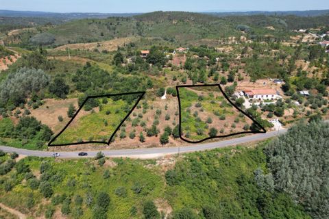 Helårsgrund i Arganil, Coimbra, Arganil - € 12.000 | Ref: 65797 - foto 7
