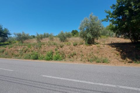 Helårsgrund i Arganil, Coimbra, Arganil - € 15.000 | Ref: 65796 - foto 2