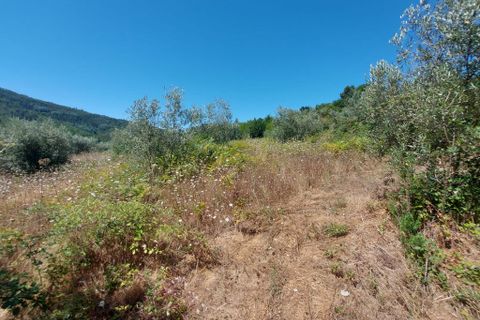 Helårsgrund i Arganil, Coimbra, Arganil - € 15.000 | Ref: 65796 - foto 3