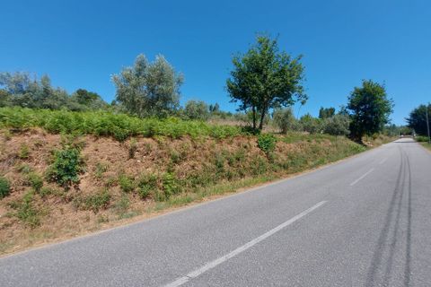 Helårsgrund i Arganil, Coimbra, Arganil - € 15.000 | Ref: 65796 - foto 5