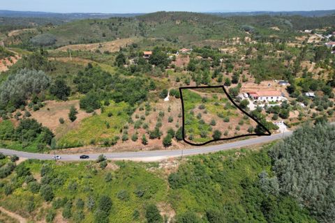 Helårsgrund i Arganil, Coimbra, Arganil - € 15.000 | Ref: 65796 - foto 6