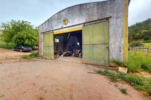 Helårsgrund i Torres Vedras, Lisbon, Torres Vedras - € 2.500.000 | Ref: 64911 - foto 9