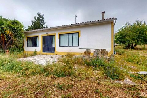 Helårsgrund i Torres Vedras, Lisbon, Torres Vedras - € 2.500.000 | Ref: 64911 - foto 13