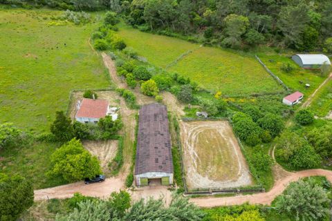 Helårsgrund i Torres Vedras, Lisbon, Torres Vedras - € 2.500.000 | Ref: 64911 - foto 24