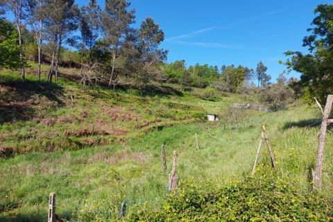 Helårsgrund i Arganil, Coimbra, Arganil - € 45.000 | Ref: 60231 - foto 2