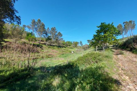 Helårsgrund i Arganil, Coimbra, Arganil - € 45.000 | Ref: 60231 - foto 3