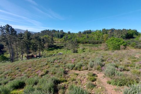 Helårsgrund i Arganil, Coimbra, Arganil - € 45.000 | Ref: 60231 - foto 4