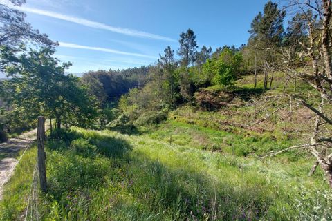 Helårsgrund i Arganil, Coimbra, Arganil - € 45.000 | Ref: 60231 - foto 6