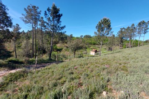 Helårsgrund i Arganil, Coimbra, Arganil - € 45.000 | Ref: 60231 - foto 7