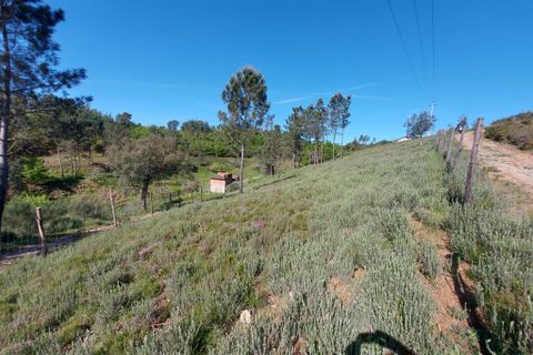 Helårsgrund i Arganil, Coimbra, Arganil - € 45.000 | Ref: 60231 - foto 8