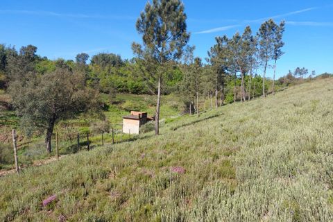 Helårsgrund i Arganil, Coimbra, Arganil - € 45.000 | Ref: 60231 - foto 9