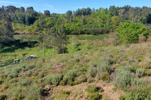 Helårsgrund i Arganil, Coimbra, Arganil - € 45.000 | Ref: 60231 - foto 10