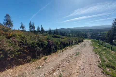 Helårsgrund i Arganil, Coimbra, Arganil - € 45.000 | Ref: 60231 - foto 11