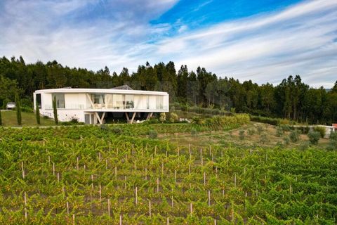 Byhus i Arganil, Coimbra, Arganil - € 850.000 | Ref: 60925 - foto 4