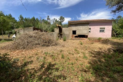 Byhus i Arganil, Coimbra, Arganil - € 79.000 | Ref: 65565 - foto 6