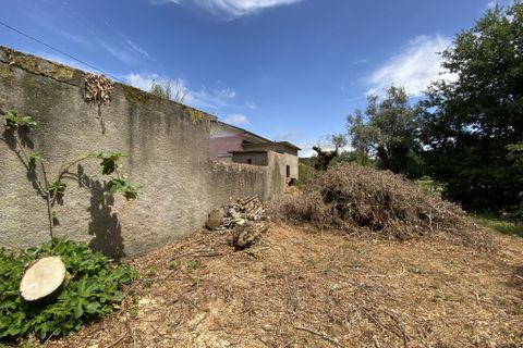Byhus i Arganil, Coimbra, Arganil - € 79.000 | Ref: 65565 - foto 10