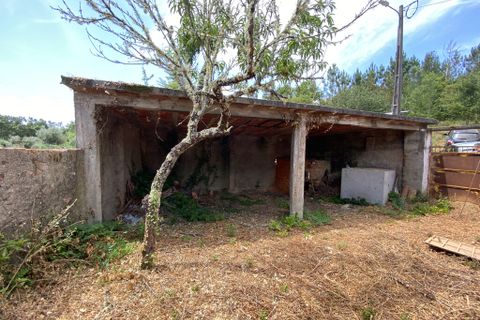 Byhus i Arganil, Coimbra, Arganil - € 79.000 | Ref: 65565 - foto 15