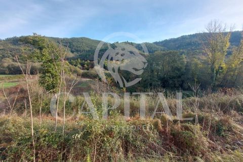Helårsgrund i Arganil, Coimbra, Arganil - € 105.000 | Ref: 70043 - foto 5