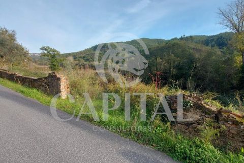 Helårsgrund i Arganil, Coimbra, Arganil - € 105.000 | Ref: 70043 - foto 7