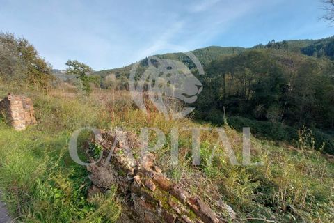 Helårsgrund i Arganil, Coimbra, Arganil - € 105.000 | Ref: 70043 - foto 9