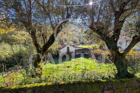 Helårsgrund i Arganil, Coimbra, Arganil - € 105.000 | Ref: 70043 - foto 13