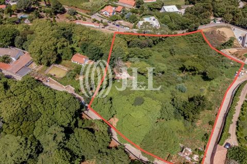 Helårsgrund i Sintra, Lisbon, Sintra - € 1.590.000 | Ref: 82297 - foto 6