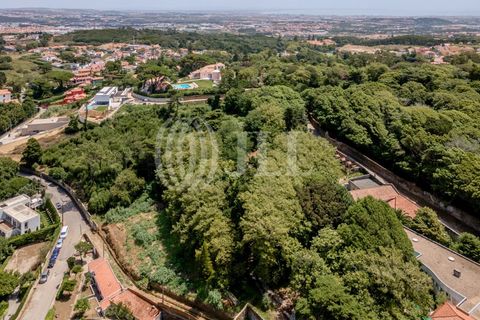 Helårsgrund i Sintra, Lisbon, Sintra - € 1.590.000 | Ref: 82297 - foto 9