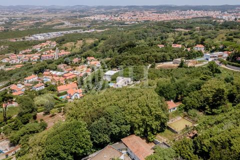 Helårsgrund i Sintra, Lisbon, Sintra - € 1.590.000 | Ref: 82297 - foto 10