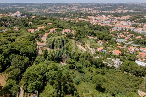 Helårsgrund i Sintra, Lisbon, Sintra - € 1.590.000 | Ref: 82297 - foto 11