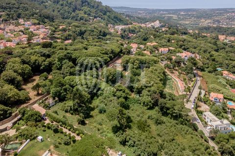 Helårsgrund i Sintra, Lisbon, Sintra - € 1.590.000 | Ref: 82297 - foto 12