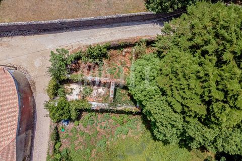 Helårsgrund i Sintra, Lisbon, Sintra - € 1.590.000 | Ref: 82297 - foto 13