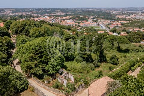 Helårsgrund i Sintra, Lisbon, Sintra - € 1.590.000 | Ref: 82297 - foto 14
