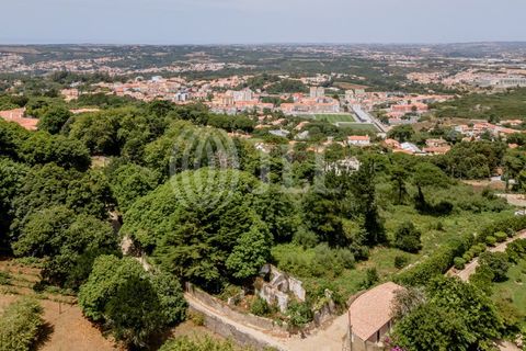 Helårsgrund i Sintra, Lisbon, Sintra - € 1.590.000 | Ref: 82297 - foto 15