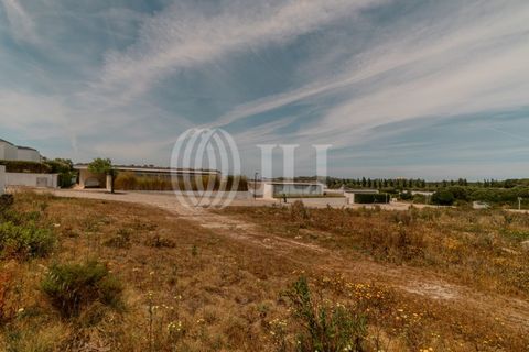 Helårsgrund i Vau, Leiria, Vau - € 160.000 | Ref: 72326 - foto 5