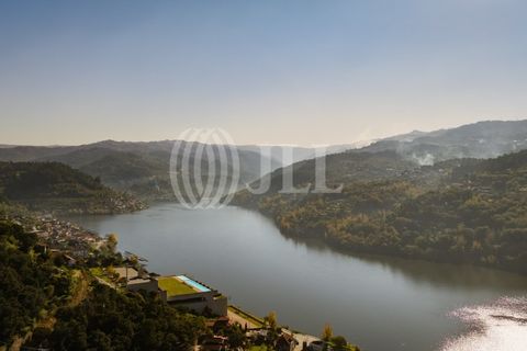 Farm i Baiao, Porto, Baiao - € 1.050.000 | Ref: 93924 - foto 3