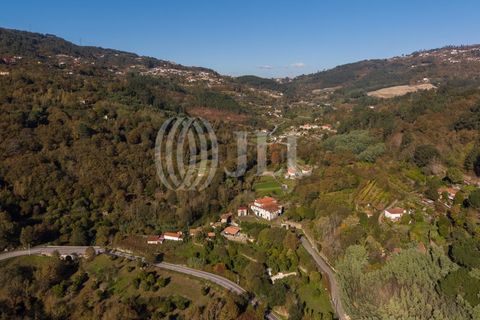 Farm i Baiao, Porto, Baiao - € 1.050.000 | Ref: 93924 - foto 4