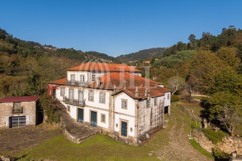 Farm i Baiao, Porto, Baiao - € 1.050.000 | Ref: 93924 - foto 5
