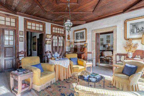 Farm i Baiao, Porto, Baiao - € 1.050.000 | Ref: 93924 - foto 8