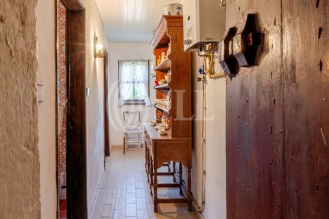 Farm i Baiao, Porto, Baiao - € 1.050.000 | Ref: 93924 - foto 19