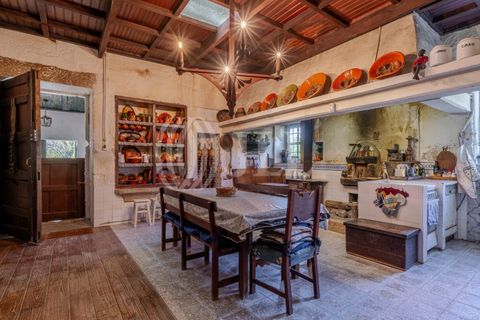 Farm i Baiao, Porto, Baiao - € 1.050.000 | Ref: 93924 - foto 20