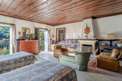 Farm i Baiao, Porto, Baiao - € 1.050.000 | Ref: 93924 - foto 29