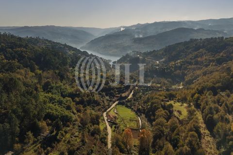 Farm i Baiao, Porto, Baiao - € 1.050.000 | Ref: 93924 - foto 30