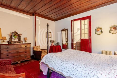 Farm i Baiao, Porto, Baiao - € 1.050.000 | Ref: 93924 - foto 37