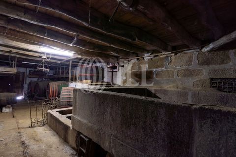 Farm i Baiao, Porto, Baiao - € 1.050.000 | Ref: 93924 - foto 40