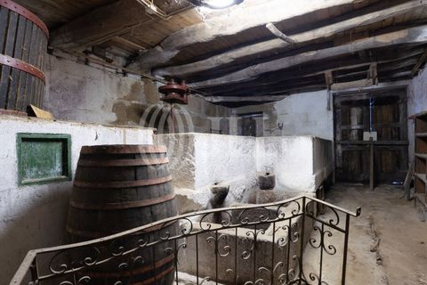 Farm i Baiao, Porto, Baiao - € 1.050.000 | Ref: 93924 - foto 41