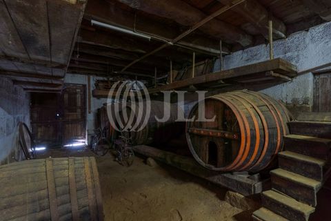 Farm i Baiao, Porto, Baiao - € 1.050.000 | Ref: 93924 - foto 42