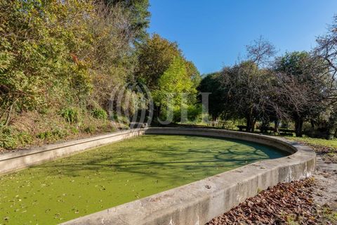 Farm i Baiao, Porto, Baiao - € 1.050.000 | Ref: 93924 - foto 44
