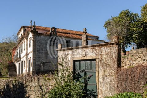 Farm i Baiao, Porto, Baiao - € 1.050.000 | Ref: 93924 - foto 46
