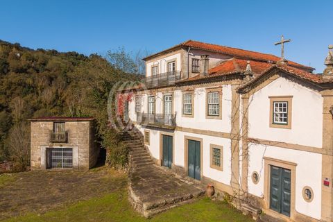 Farm i Baiao, Porto, Baiao - € 1.050.000 | Ref: 93924 - foto 47